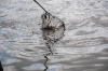 20120607_ (169)